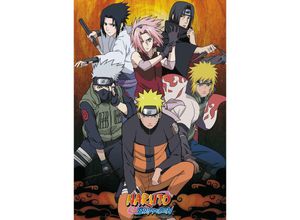 3700789204695 - Naruto Shippuden Poster Team