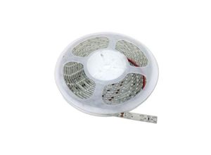 3701582323330 - Silamp - led -Band 12V 5m 2835 IP65 2100LM m