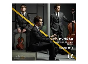 3760014192388 - Klaviertrio 3 Op65 & 4 Op90 Dumky - Busch Trio (CD)