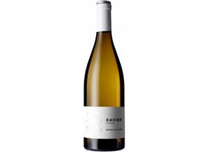 3760048730303 - Côtes du Rhône Blanc 2023 - Xavier Vignon