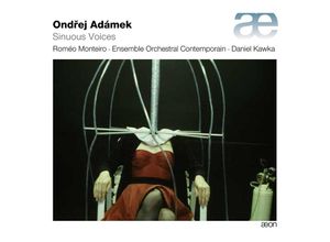 3760058360583 - Sinuous Voices - Kawka Adámek Monteiro Ensemble Orchestral Contemp (CD)