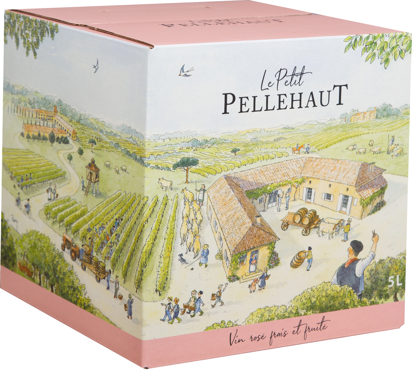 3760087760989 - 2020 Le Petit Pellehaut Rosé - 5 Liter Côtes de Gascogne - Bag-in-Box