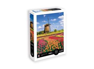 3760124870510 - Calypto - Tulpen 1000 Teile Puzzle