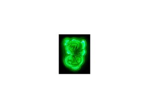 3760158113997 - Madcow - teknofun shenron hellen Neon-Stil dragon ball z