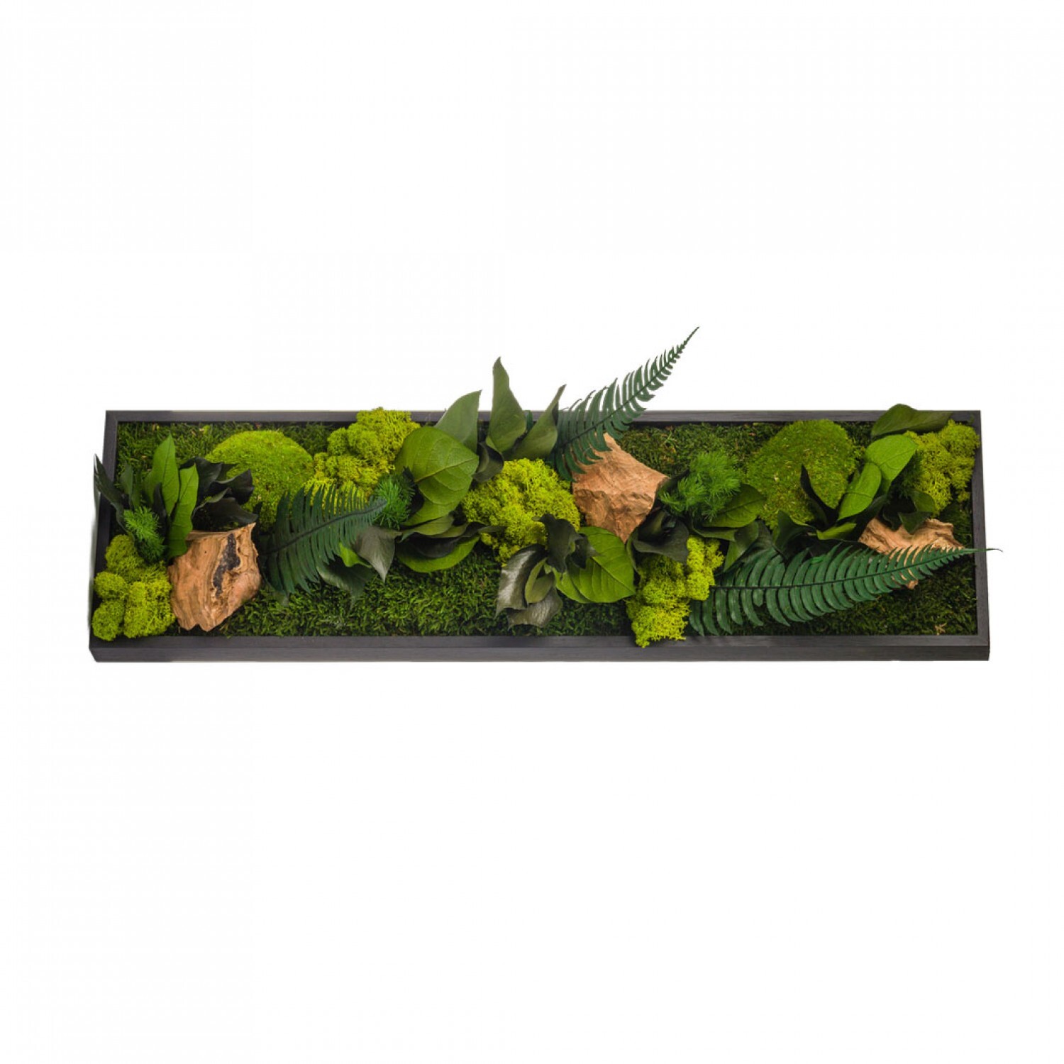 3760202719786 - Vegetarischer Rahmen panoramic Stab Canope