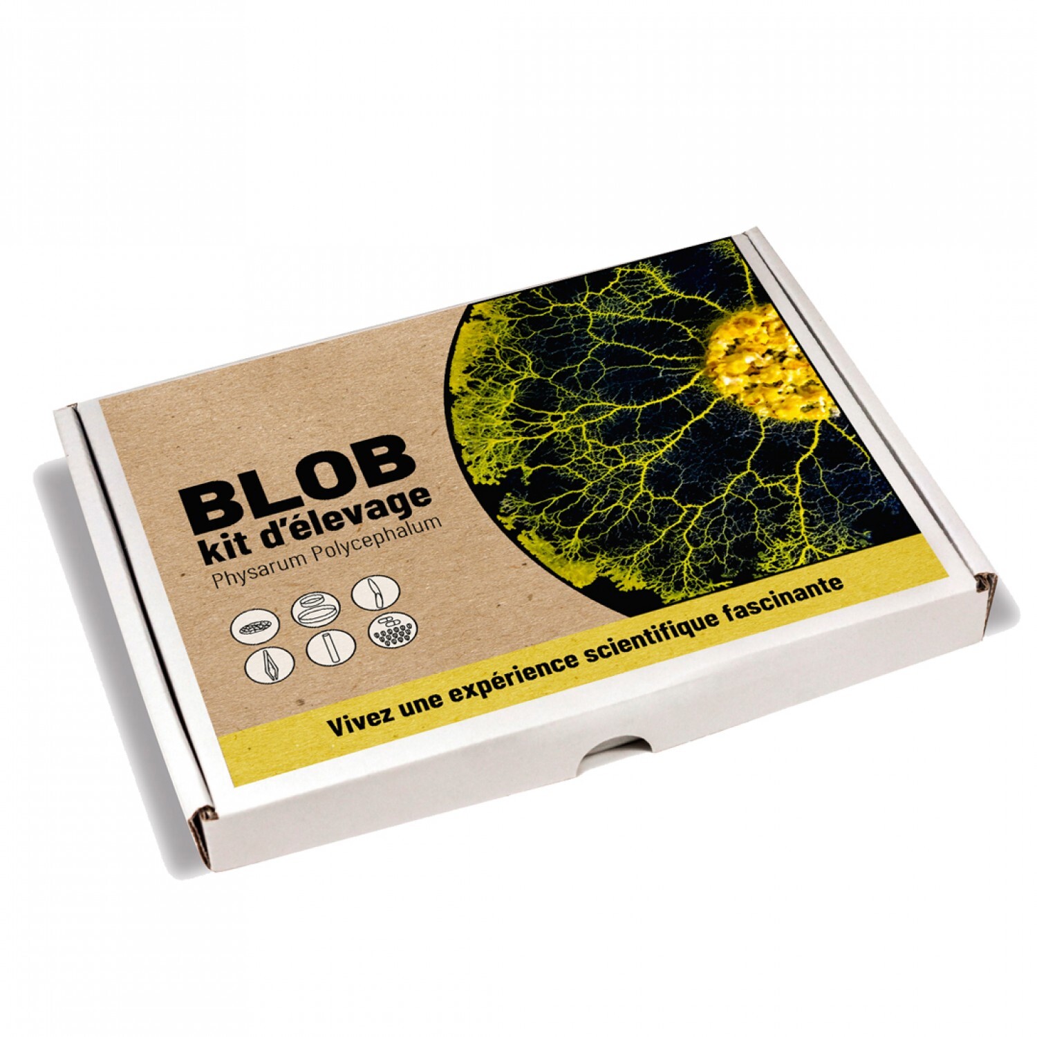 3760202721314 - Aufzuchtset für Blob Naturalys