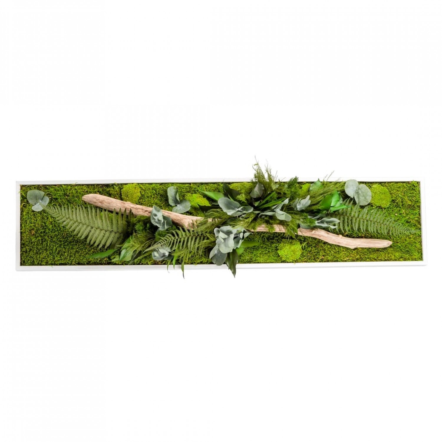 3760202804123 - Vegetarischer Rahmen panoramic Stab Nature