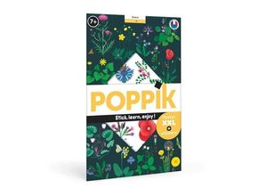 3760262411354 - POPPIK - Lernposter & Sticker Botanik