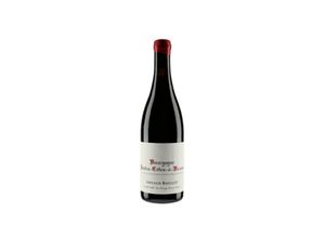 3760268760500 - Arnaud Baillot Hautes Côtes de Beaune Rouge 2021 - 75cl