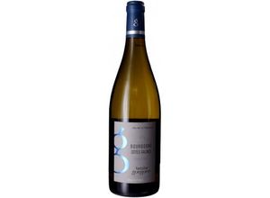 3770005597290 - Bourgogne Chardonnay - Côtes Salines 2023 - Domaine Gueguen