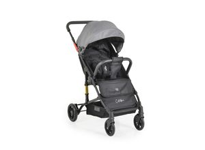 3800146236267 - Kinderwagen Buggy Colibri faltbar verstellbar 5-Punkt-Gurt ab 6 Monaten grau