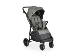 3800146236595 - Sommerkinderwagen Buggy Kinderbuggy Sonnendach EVA-Räder verstellbar grau