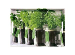 4000270773341 - - Serviertablett Herbs