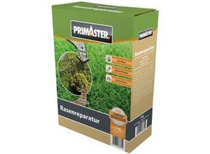 4000610383810 - Rasenreparatur 1 kg für ca 20 m2
