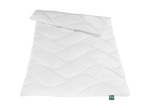 4000863034361 - Fan - Duo-Steppdecke Medicott Soft Größe 155x220 cm Wintersteppbett