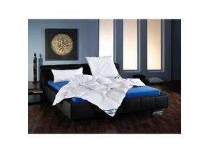 4000863255667 - Fan - fan Kansas Microfaser Leicht-Steppbett 240x220 cm - Weiss