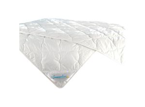 4000863267295 - Fan - Sommerdecke Summerline Cool Linnen 135x200 cm 4000863267295 - Fan - Sommerdecke Summerline Cool Linnen 135x200 cm