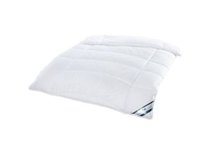 4000863750834 - Fan - Sommerdecke Klima Active Plus Leicht-Steppbett 155x220 cm