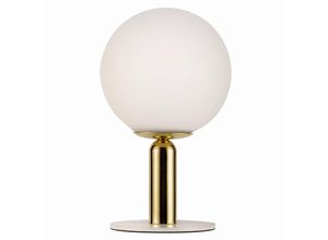 4000870482308 - Tischleuchte Splendid Pearl in Weiß und Gold G9 - Weiß - Pauleen