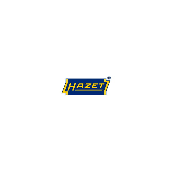 4000896039999 - 38 Innen-Vielzahn-Profil XZN Steckschlüsseleinsatz Größe M 6 Länge 400 mm 4000896039999 Hazet