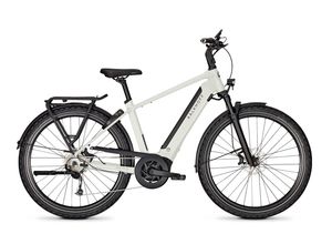 4000990430883 - ENDEAVOUR 5B MOVE+ - 29 Zoll 625Wh 9K Diamant - lightgrey matt