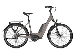 4000990432672 - ENTICE 1B MOVE INTERNATIONAL - 275 Zoll 400Wh 8K Wave - moonstonegrey matt