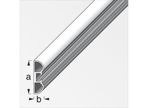 4001116037153 - coaxis®-Profil schmal 25 m 355 x 11 mm Aluminium eloxiert silber