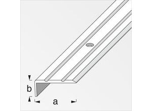 4001116057434 - Alfer - Abschlussprofil 25 x 10mm Profil Winkelprofil Übergangsprofil Abdeckprofil