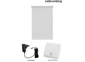 4001442301010 - Elektrisches Rollo San Diego Rollos Gr 180 cm stufenlos positionierbar Rollo Ladekabel und Access Point 120 cm grau (grau weiß) Verdunklungsrollo Verdunkelungsrollos Rollo