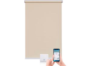 4001442312269 - Elektrisches Rollo Los Angeles Rollos Gr 180 cm stufenlos positionierbar Rollo einzeln 100 cm beige (creme weiß) Verdunkelungsrollos mit Motor und Akku Smart Home steuerbar Alexa Google Homatic IP