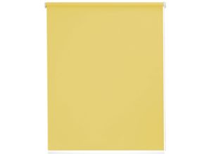 4001442725250 - Seitenzugrollo Youngstyle Uni grün (limonengrün weiß) B62cm H180cm Polyester Aluminium Kunststoff Rollos