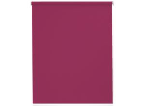4001442725939 - Seitenzugrollo Young Style Blackout lila (himbeere weiß) B62cm H180cm Polyester Aluminium Kunststoff Rollos
