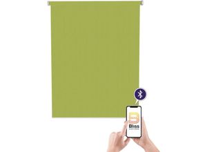 4001442815630 - Elektrisches Rollo Akkurollo Structure Rollos Gr 220 cm stufenlos positionierbar Rollo und Ladekabel 160 cm grün Rollos appgesteuert via Bluetooth weißer Fallstab