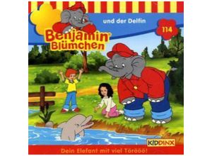 4001504255145 - Benjamin Blümchen - 114 - Benjamin Blümchen und der Delfin - Benjamin Blümchen (Hörbuch)