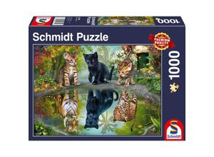 4001504573928 - Schmidt Puzzle 1000 - Dream Big!