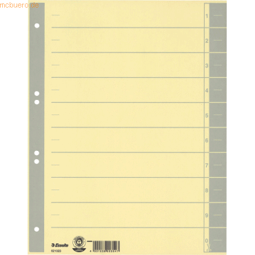4001536003547 - 100 x Trennblätter A4 230g qm farbig bedruckt grau 4001536003547 - 100 x Trennblätter A4 230g qm farbig bedruckt grau
