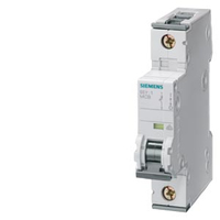 4001869181363 - 10kA 1p C 8A 5SY4108-7 Leitungsschutzschalter 10kA 1p C 8A 4001869181363 4001869181363 - 10kA 1p C 8A 5SY4108-7 Leitungsschutzschalter 10kA 1p C 8A 4001869181363