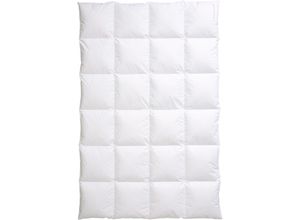 4001969447901 - Daunenbettdecke CENTA-STAR Nordic Bettdecken Gr B L 155 cm x 220 cm warm weiß Allergiker Bettdecke hochwertiges Naturprodukt mit hervorragendem Wärmevermögen