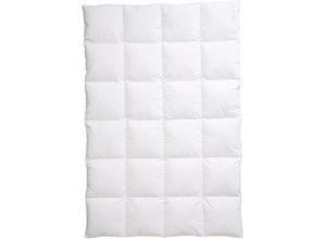 4001969447918 - Daunenbettdecke CENTA-STAR Nordic Bettdecken Gr B L 135 cm x 200 cm e x trawarm weiß Allergiker Bettdecke hochwertiges Naturprodukt mit hervorragendem Wärmevermögen