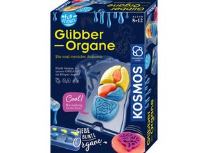 4002051654184 - Experimentierkasten FUN SCIENCE – GLIBBER-ORGANE