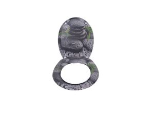 4002071273198 - sanicomfort WC-Sitz Duroplast mit Absenkautomatik Toilettensitz passend für alle handelsüblichen WC-Becken (Light Shine)