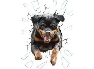 4002341259068 - Hermann Schütz Aufkleber Einschussloch Motiv Rottweiler 200x270mm