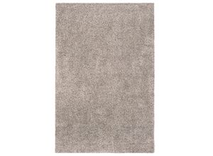 4002398142375 - Fußmatte ANDIAMO Samson Teppiche Gr B L 100 cm x 150 cm 6 mm 1 St beige (hellbeige) Designer Fußmatten