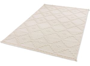 4002629242201 - Teppich SCHÖNER WOHNEN-KOLLEKTION Summer 6352 Teppiche Gr B L 200 cm x 290 cm 6 mm 1 St beige (creme) Esszimmerteppiche In- und Outdoor geeignet Hoch Tief Struktur Robuster Teppich