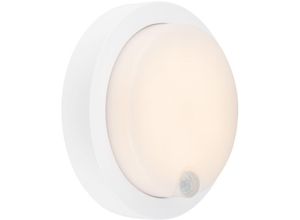 4002707445609 - Pula led Außenwandleuchte kabellos IP44 Spritzwasserschutz Bewegungsmelder Dämmerungssensor Reichweite 8m weiß 17 x 55 cm - Briloner