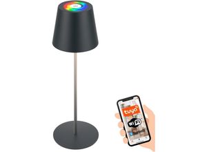 4002707463467 - - Coloris led Tischlampe Smart kabellos Smart via Appsteuerung Dimmbar Speicherfunktion Timer Anthrazit Ø105 x 36 cm