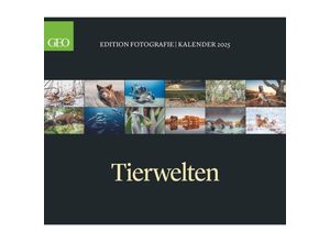 4002725988669 - GEO Edition - Tierwelten Wandkalender 2025 - Beeindruckender Kalender für Tierfotografie Großformat 70x60 cm mit Einzigartigen Aufnahmen aus der Tie