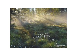 4002725994271 - N NEUMANNVERLAGE - Malerische Wälder 2025 Wandkalender 45x48cm Kalender mit zwölf faszinierenden Bildern von Wäldern Mondphasen Spiralbindung und