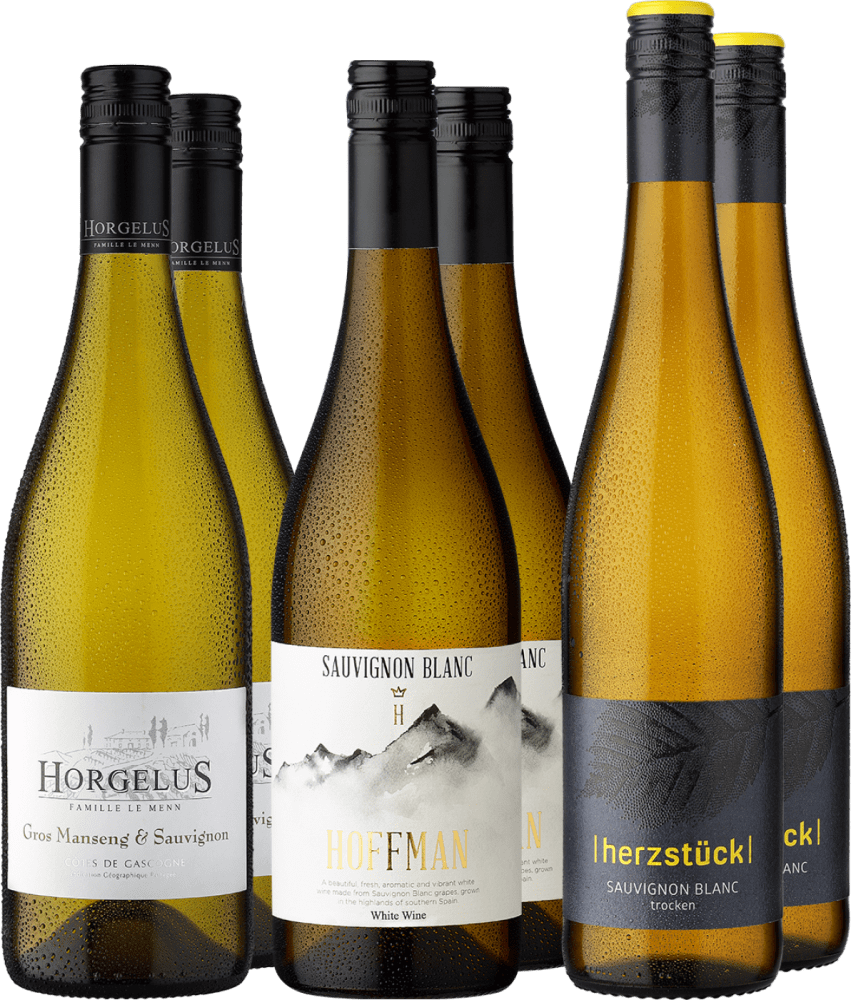 4002859982403 - 6er-Probierpaket »Sauvignon Siegerweine« 4002859982403 - 6er-Probierpaket »Sauvignon Siegerweine«