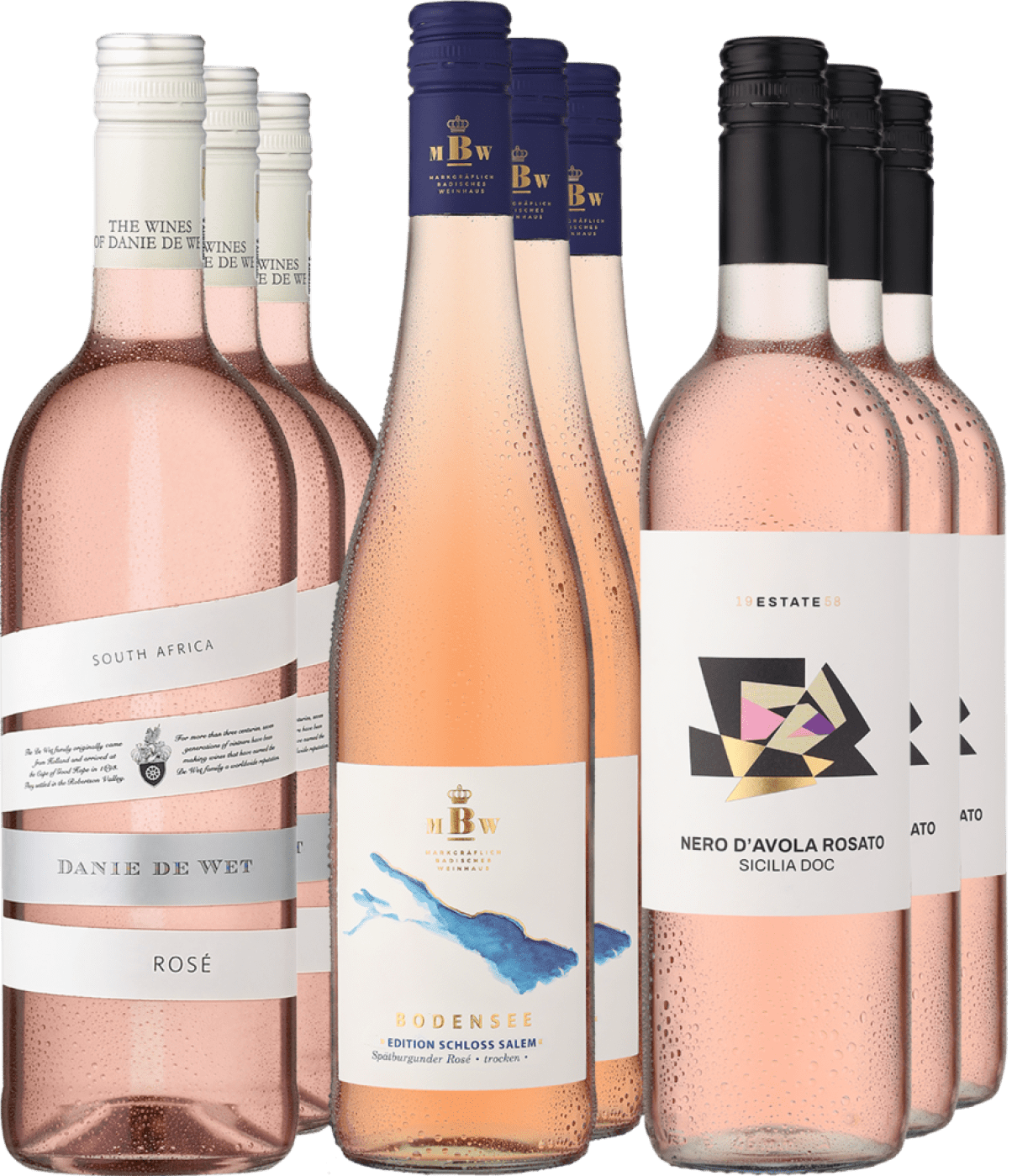 4002859982953 - 9er-Probierpaket »Best Buy Sommer-Rosés«